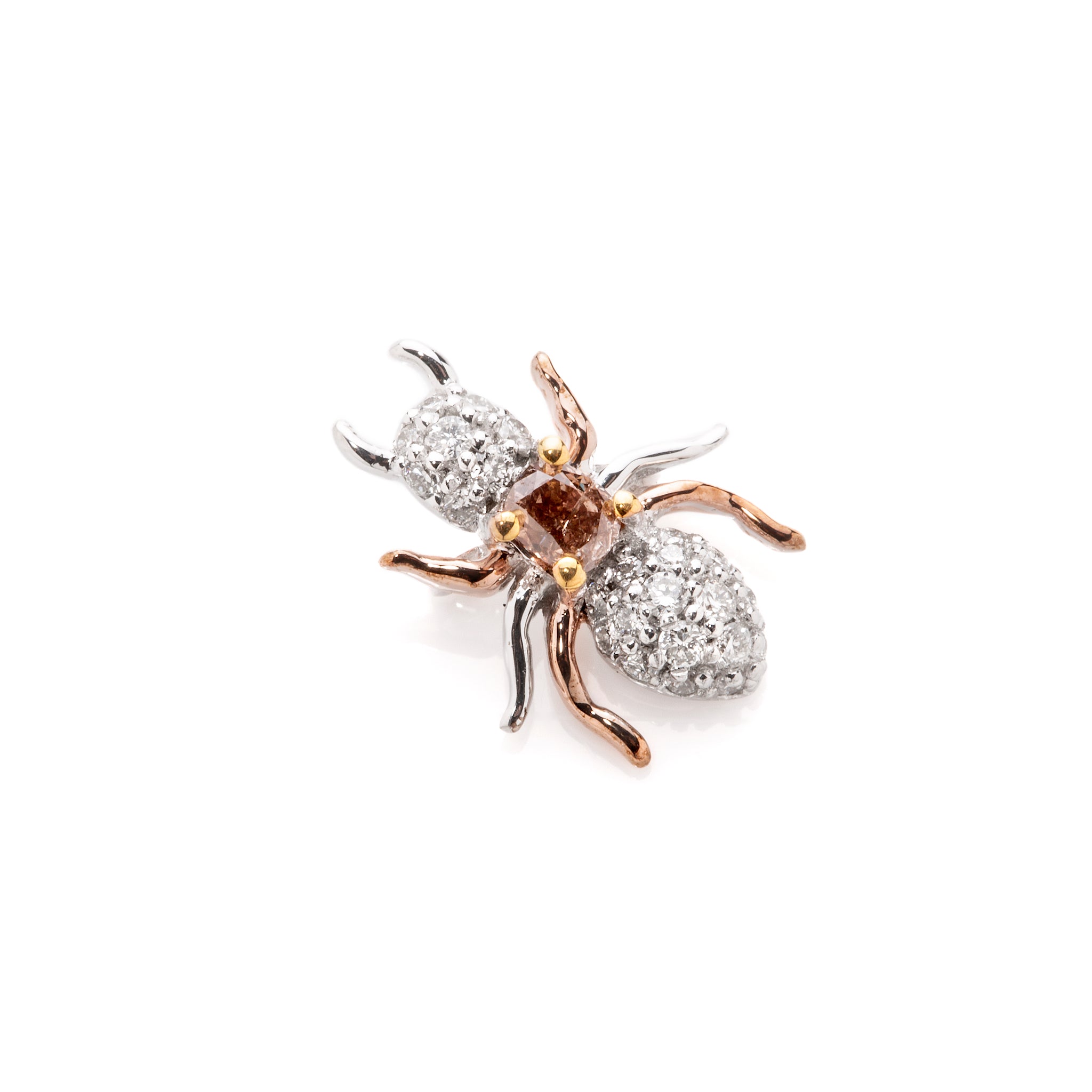 Ant brooch best sale